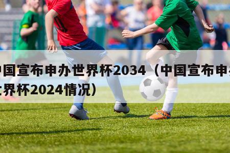 中国宣布申办世界杯2034（中国宣布申办世界杯2024情况）