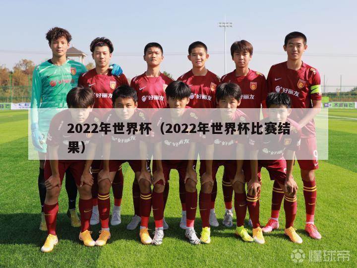 2022年世界杯（2022年世界杯比赛结果）