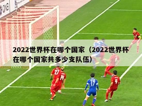 2022世界杯在哪个国家（2022世界杯在哪个国家共多少支队伍）