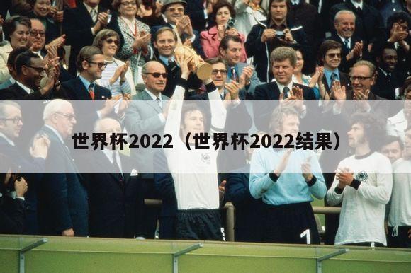 世界杯2022（世界杯2022结果）