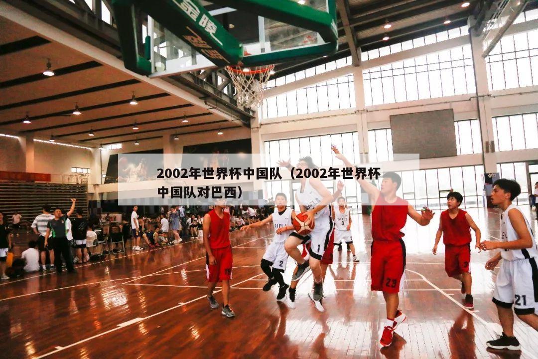 2002年世界杯中国队（2002年世界杯中国队对巴西）