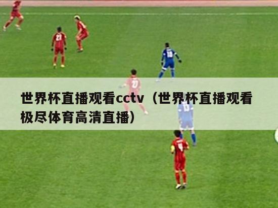 世界杯直播观看cctv（世界杯直播观看 极尽体育高清直播）