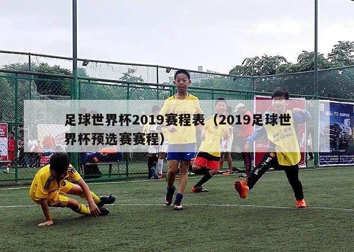 足球世界杯2019赛程表（2019足球世界杯预选赛赛程）