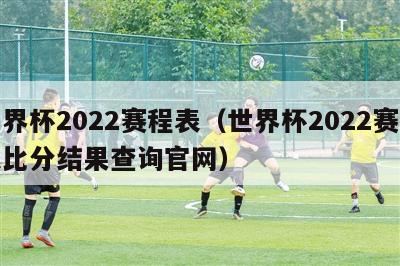 世界杯2022赛程表（世界杯2022赛程表比分结果查询官网）