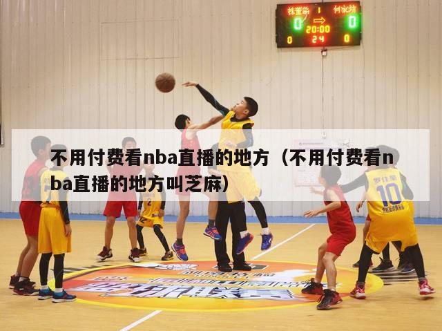 不用付费看nba直播的地方（不用付费看nba直播的地方叫芝麻）