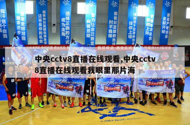 中央cctv8直播在线观看,中央cctv8直播在线观看我眼里那片海