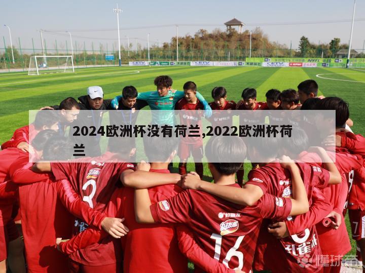 2024欧洲杯没有荷兰,2022欧洲杯荷兰