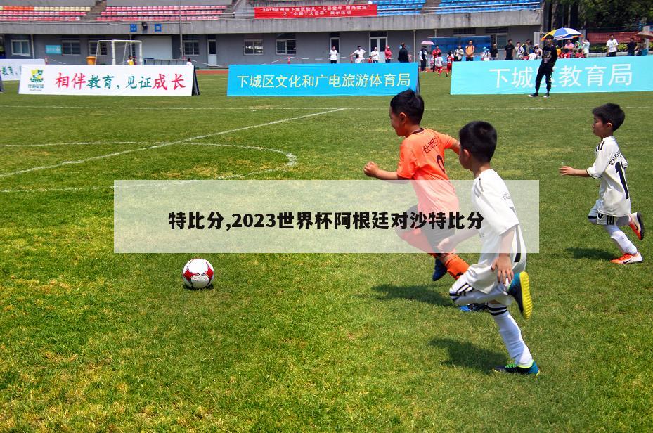 特比分,2023世界杯阿根廷对沙特比分