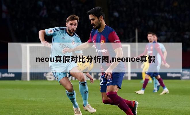 neou真假对比分析图,neonoe真假