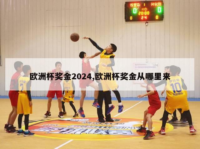 欧洲杯奖金2024,欧洲杯奖金从哪里来