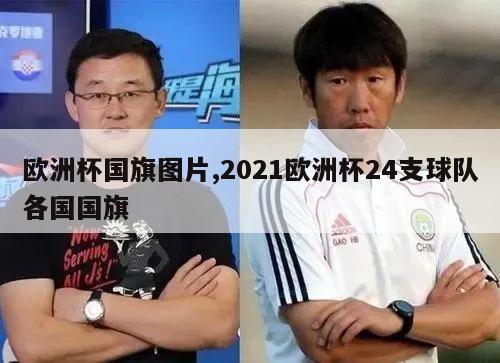 欧洲杯国旗图片,2021欧洲杯24支球队各国国旗